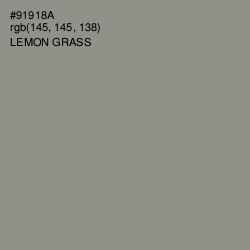 #91918A - Lemon Grass Color Image
